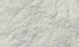 Dextrose Monohydrate